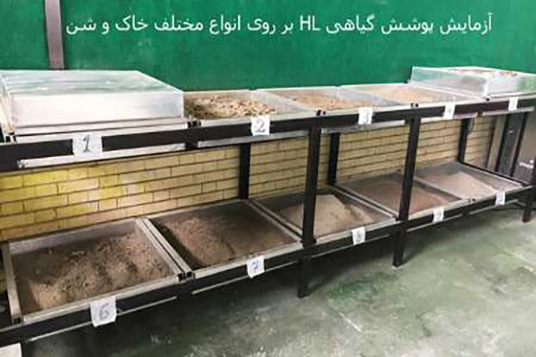 چسب گیاهی راه حل مخترع ایرانی برای معضل گردوغبار